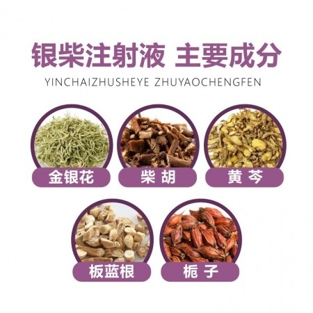 银柴注射液10ml*10支/盒 针剂 猪牛羊感冒发烧高烧不退清热解毒