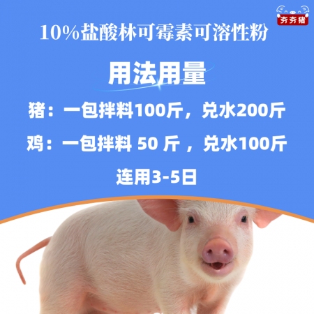 【夯夯猪】肺炎喘气病猪痢疾10%盐酸林可霉素可溶性粉100g链球菌支原体便血母猪产后消炎产后感染