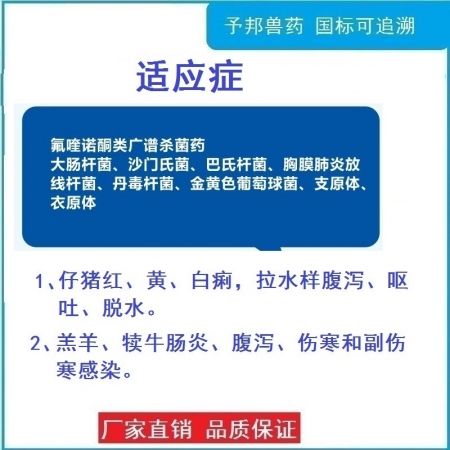 恩諾沙星片 50片
