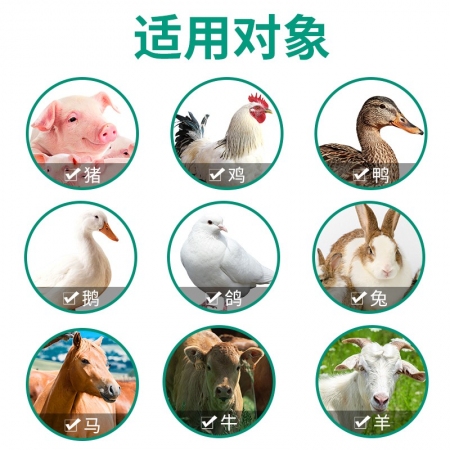 【回盛生物】健胃散500g 開胃消食增食復食催肥促生長 改善腸道消化不良 提高采食量中藥獸藥