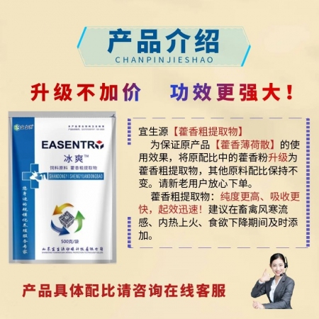 【宜生源】冰爽：藿香粗提物藿香薄荷散用于冬季流感感冒內(nèi)熱上火低溫低燒不退食欲減退母豬保健提高免疫力