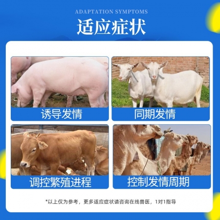 【杭動藥業】三合激素獸用母豬發情針劑注射液豬牛羊促發情排卵用正品獸藥