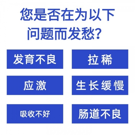 【九牧扬】壮仔免疫砖 仔猪小猪断奶应激保育猪用补充益生菌改善肠道腹泻拉稀