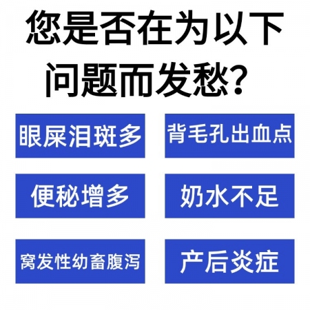 【九牧扬】益母高产砖 母猪保健适用母猪泪斑死皮、被毛粗乱、便秘、内毒素、排毒等母猪饲料添加剂