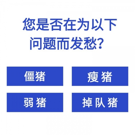 【九牧扬】 7日解僵宝 兽用猪牛羊催肥促生长增加采食量增重增肥僵猪调理肠道恢复生长速度