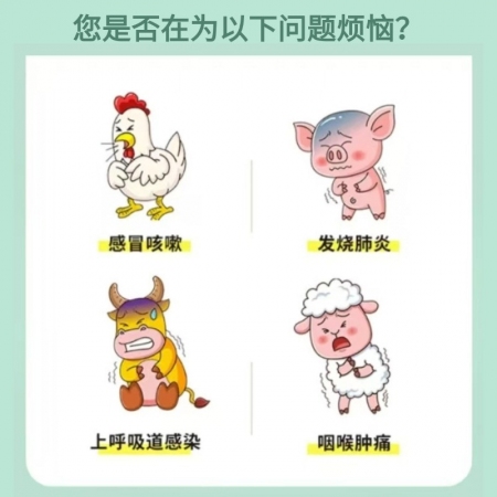 【九牧扬】柴青连 板蓝根提取物 提升免疫力高浓度中药提取 可拌料可饮水