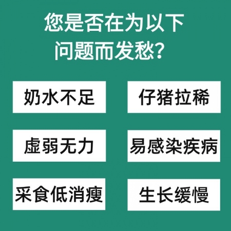 【九牧扬】强维素 抗应激增免疫猪场常备 复合多维电解多维VC猪用维生素预混合饲料添加剂