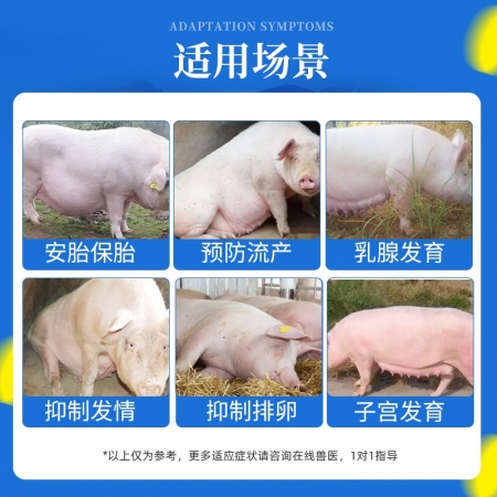 【杭動藥業(yè)】獸用黃體酮注射液針劑豬牛羊防流產(chǎn)保胎安胎正品獸藥