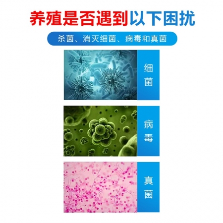 【牧醫師】二氯異氰脲酸鈉粉獸用消毒劑豬用牛羊雞鴨鵝圈舍殺菌除菌專用
