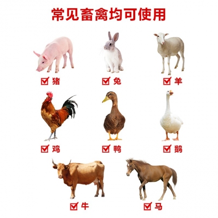 【牧醫(yī)師】稀戊二醛豬圈豬場(chǎng)消毒劑獸用養(yǎng)殖場(chǎng)專用