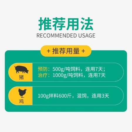 【鼎合牧高】回盛20%氟苯尼考粉1000g 細菌性呼吸道綜合癥咳喘咳嗽母豬保健產后消炎腹瀉原自營