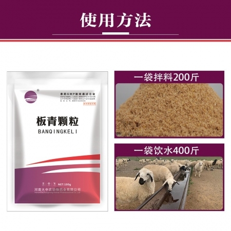 【大中农】板青颗粒100g/袋 板蓝根中药颗粒清热解毒防治猪感冒发烧猪流感