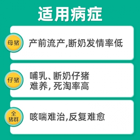 【回盛生物】|藍凈一號|豬藍耳病控制方案 藍耳防控抗應激增強免疫力