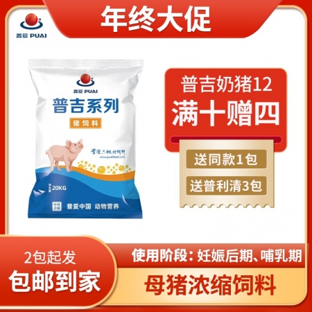 【普吉奶猪12】12%哺乳母猪浓缩料 40斤/袋 哺乳料母猪料 妊娠料