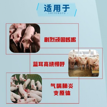 【宜生源】福多多重癥咳喘三聯(lián)抗 氟苯尼考1袋+替米考星1袋+多西2袋支原體咳嗽氣喘呼吸道感染流感藍(lán)耳