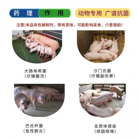 【宜生源】恩諾沙星可溶性粉 腸炎下痢斷奶腹瀉咳嗽氣喘支原體肺炎黃白痢搭配替米多西阿莫西林病毒性腹瀉