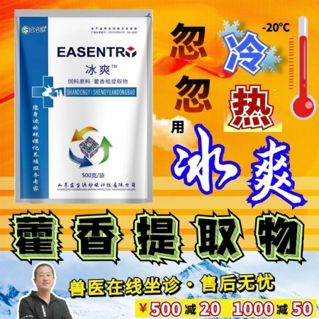 【宜生源】冰爽：藿香粗提物藿香薄荷散用于冬季流感感冒内热上火低温低烧不退食欲减退母猪保健提高免疫力