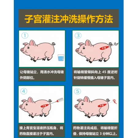 【華農利邦】40瓶青宮寶 子宮沖洗液清宮寶清宮子宮清洗液魚腥草粗提液