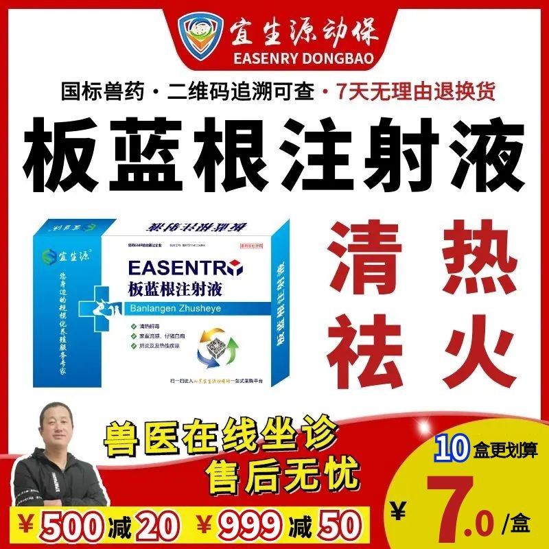【宜生源】板藍(lán)根注射液10ml*10支 獸藥抗病毒針劑稀釋頭孢青霉素流感感冒解熱退燒黃白痢腹瀉板青顆