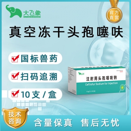 【大飛象】0.5g真空凍干注射用頭孢噻呋鈉 抗菌消炎 0.5g×10支/盒 治療...