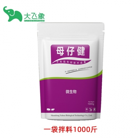 【大飛象】母仔健1000g