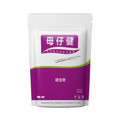 【大飛象】母仔健1000g