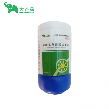 【大飞象】超微乳化工艺头孢喹肟注射液50ml/瓶 仔猪三针保健 母猪产后消炎呼吸道消化道