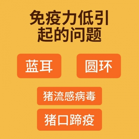 【盛世腾龙】黄芪多糖粉1000g 促生长提高免疫力母猪保健多维生素 提高产能 黄芪粗提物
