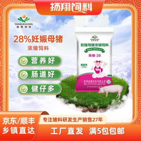 扬翔饲料28%妊娠母猪浓缩饲料80斤装 包邮适用于配种至产前7天