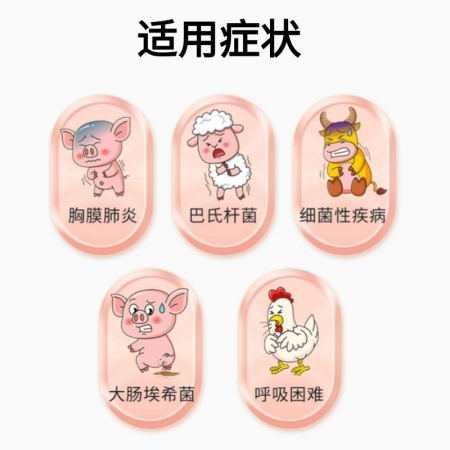 【盛世騰龍】20%水溶氟苯尼考粉 100g 豬肺疫 副豬嗜血桿菌 傳染性胸膜肺炎 腸炎腹瀉 呼吸道 