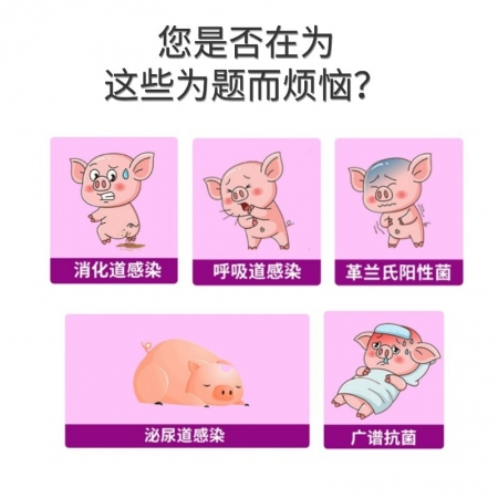 【盛世騰龍】12%復方磺胺間甲氧嘧啶鈉可溶性粉抗菌消炎 弓形體 附紅體 鏈球菌 球蟲 萎縮性鼻炎