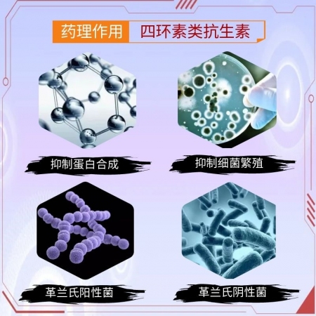 【宜生源】多西環素注射液10ml*10支 國標獸藥強力霉素血蟲附紅體咳嗽氣喘呼吸道感染腸炎腹瀉土霉素