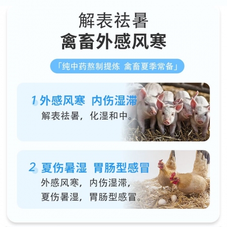 【正格農牧】育隆冰爽vc獸用藿香正氣液豬牛羊雞鴨禽畜口服液降溫解暑抗應激祛暑