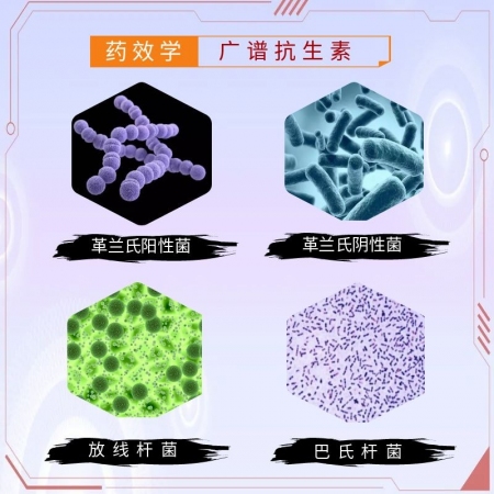 【宜生源】氟苯尼考注射液10ml*10支 國標獸藥咳嗽氣喘呼吸道感染支原體肺炎仔豬腹瀉腸炎母豬保健