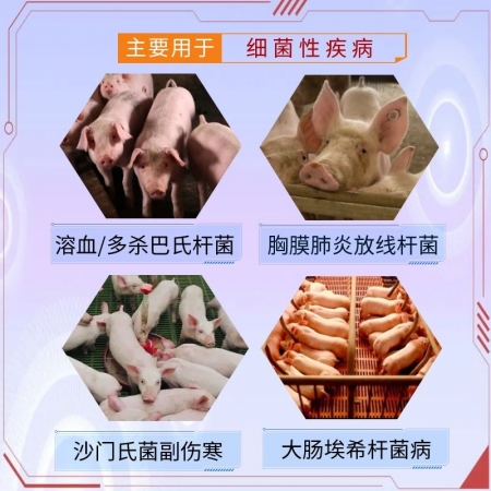 【宜生源】氟苯尼考注射液10ml*10支 國標獸藥咳嗽氣喘呼吸道感染支原體肺炎仔豬腹瀉腸炎母豬保健