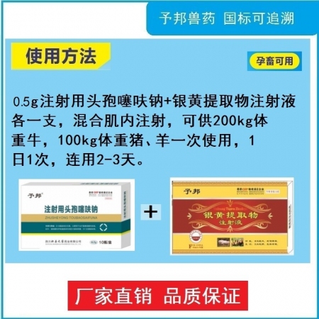 【予邦】豬牛羊重癥康組合（0.5g注射用頭孢噻呋鈉+銀黃提取物注射液）抗菌消炎清熱解毒豬牛羊孕畜可用