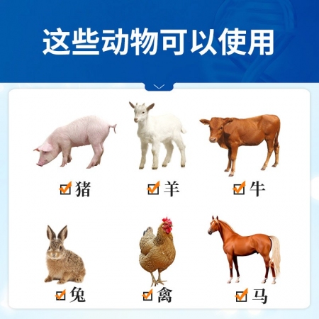 【中龍神力】白頭翁散 500g 獸藥獸用止痢散大腸桿菌豬雞用拉稀止痢黃白痢中藥