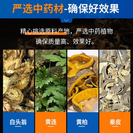 【中龍神力】白頭翁散 500g 獸藥獸用止痢散大腸桿菌豬雞用拉稀止痢黃白痢中藥