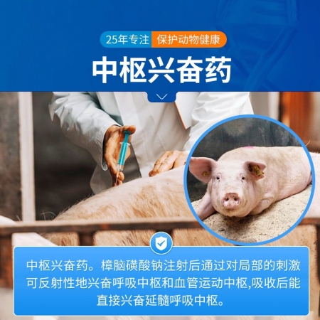 【中龍神力】樟腦磺酸鈉注射液 呼吸興奮劑 可刺激呼吸中樞，使呼吸興奮 10ml×10支/盒