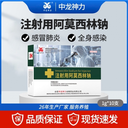 【中龍神力】注射用阿莫西林鈉 抗菌消炎 副豬嗜血桿菌豬丹毒 豬鏈球菌病 強力消炎...