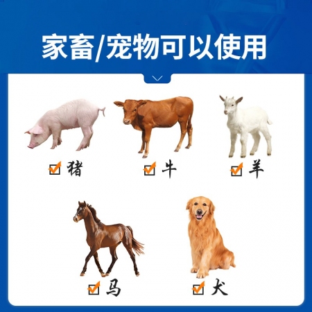 【中龍神力】樟腦磺酸鈉注射液 呼吸興奮劑 可刺激呼吸中樞，使呼吸興奮 10ml×10支/盒