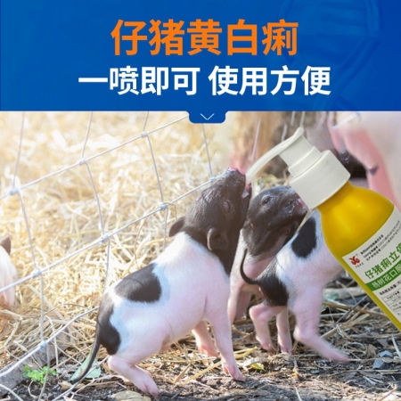 【中龍神力】仔豬痢立停 楊樹花口服液 治療仔豬產房黃白痢 拉稀腹瀉 100ml/瓶