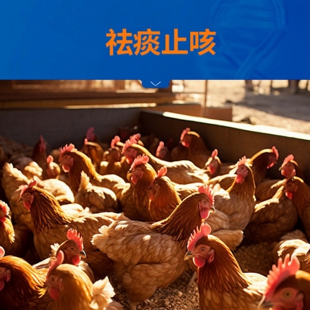 【中龍神力】甘草顆粒 國標 獸用中獸藥，化痰止咳、消除炎癥