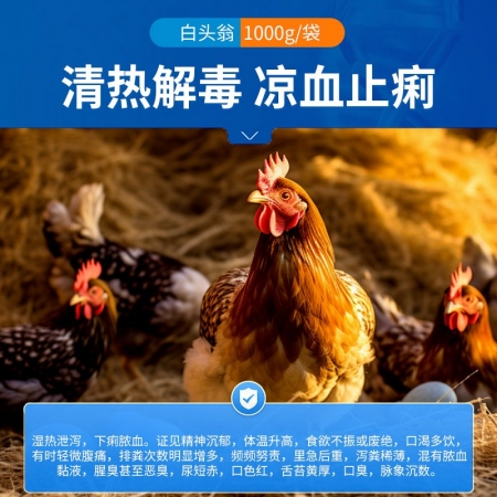 【中龍神力】白頭翁散1000g/袋 涼血止痢 清熱解毒 過奶止痢 獸用藥 中藥正品