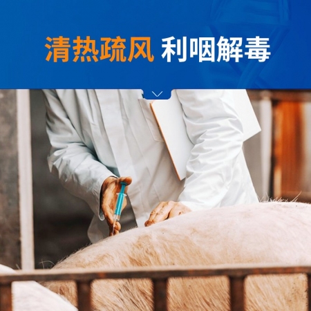 【中龍神力】銀黃提取物注射液獸藥獸用豬牛羊高熱混感抗菌病毒消炎藥
