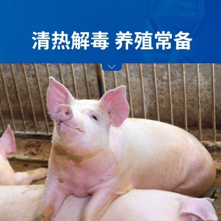 【中龍神力】苦木注射液獸用針劑豬牛羊健胃清熱通便促反芻風(fēng)熱獸藥
