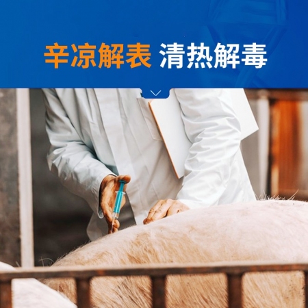 【中龍神力】銀柴注射液獸用豬牛羊用清熱抗病毒口炎蹄潰爛正品