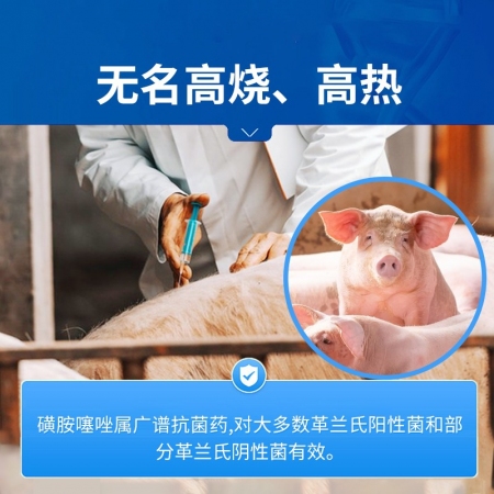 【中龍神力】磺胺噻唑鈉注射液獸用豬牛羊敗血癥豬丹毒腦炎傷寒獸藥