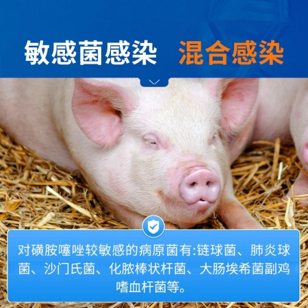 【中龍神力】磺胺噻唑鈉注射液獸用豬牛羊敗血癥豬丹毒腦炎傷寒獸藥