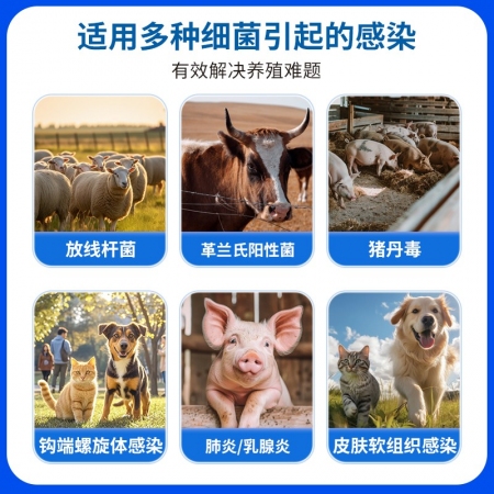 【中龍神力】80萬(wàn)注射用青霉素鉀豬牛羊雞兔犬抗菌消炎藥獸用正品獸藥